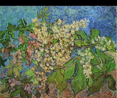 Vincent Van Gogh White Flowers with Blue Background