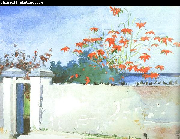 Winslow Homer A Wall, Nassau