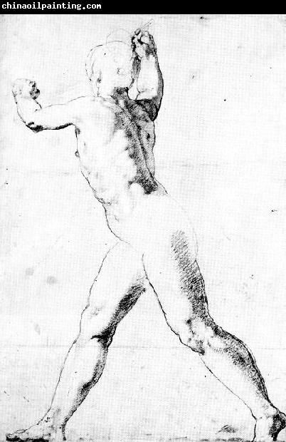 ZUCCARO  Taddeo Study of a Male Nude