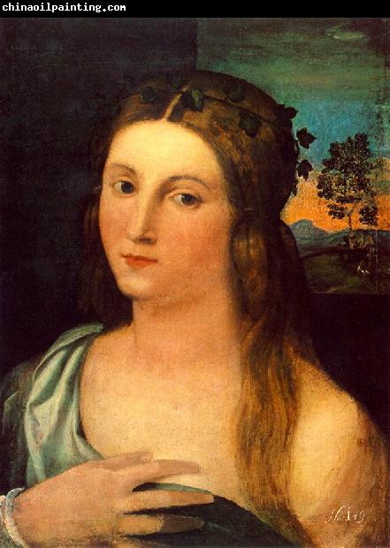 Palma Vecchio Portrait of a Young Woman ag