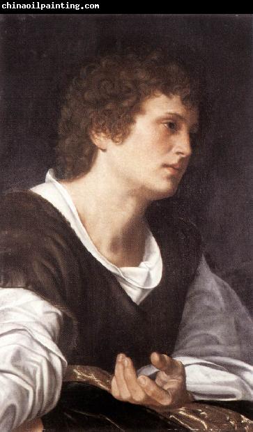 SAVOLDO, Giovanni Girolamo Bust of a Youth sg