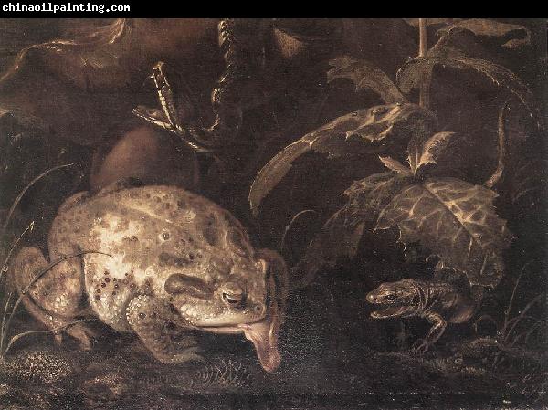 SCHRIECK, Otto Marseus van Still-Life with Insects and Amphibians (detail) qr