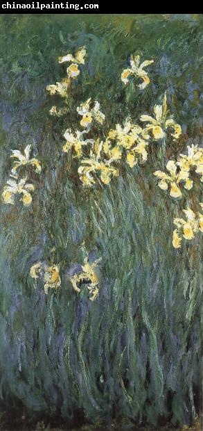 Claude Monet Yellow Irises