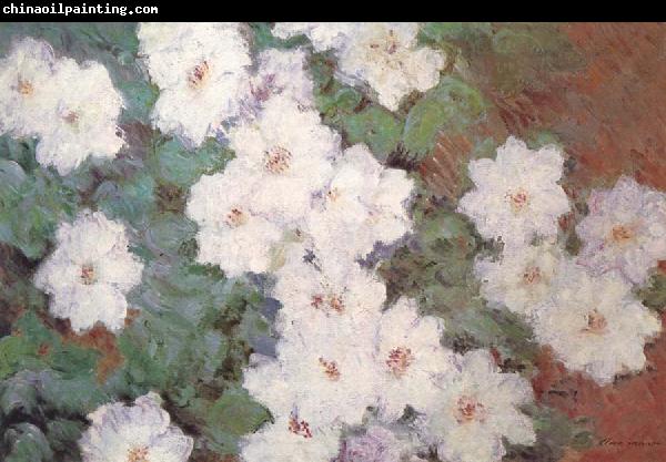 Claude Monet Clematis