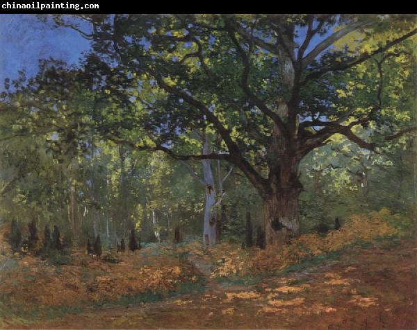 Claude Monet The Bodmer Oak,Forest of Fontainebleau