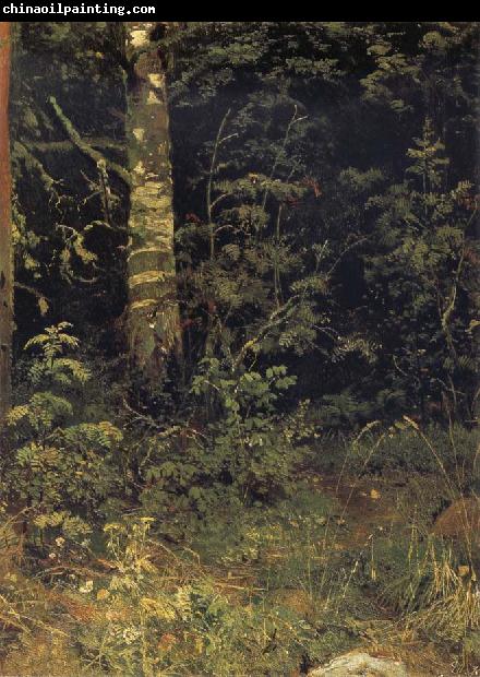 Ivan Shishkin Silver birch and mountain ash