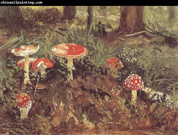 Ivan Shishkin Fly-Agarics,Study