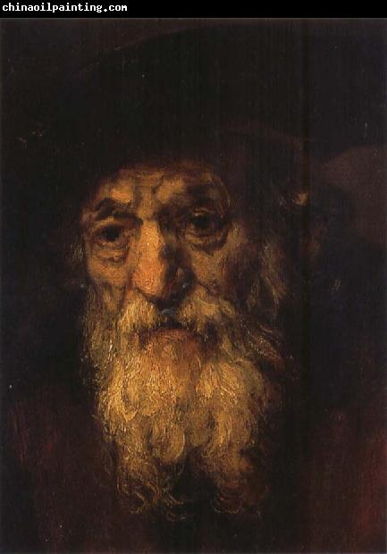 REMBRANDT Harmenszoon van Rijn Portrait of an Old Jew