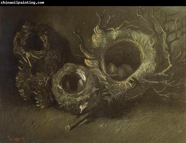 Vincent Van Gogh Still life wtih Three Birds'Nests (nn04)