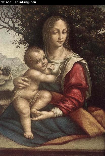 Cesare da Sesto Madonna and Child