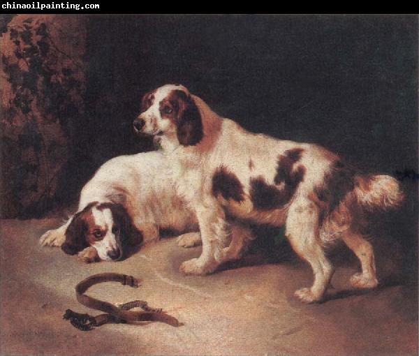 George Horlor Brittany Spaniels