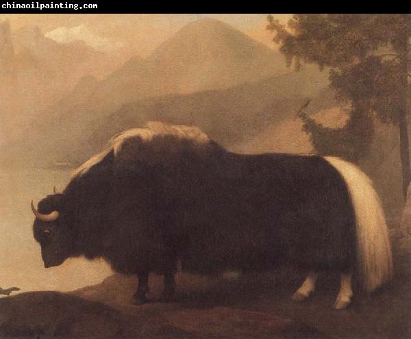 George Stubbs Yak