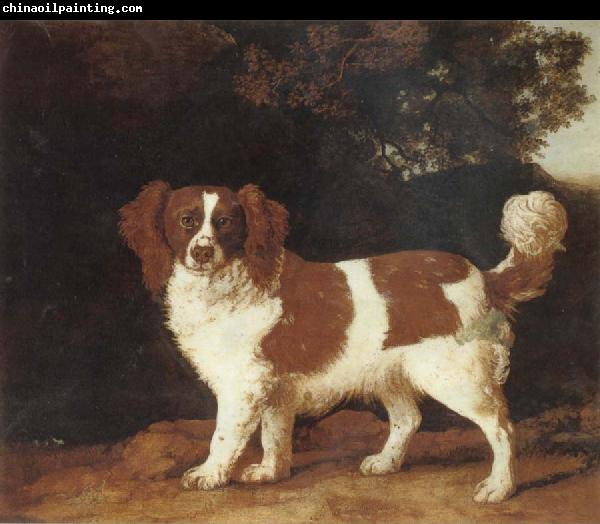 George Stubbs Dog