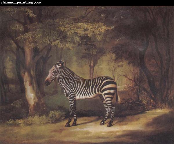 George Stubbs A Zebra