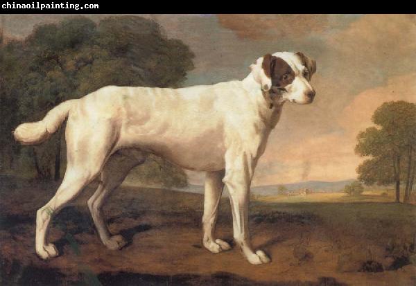 George Stubbs Dog