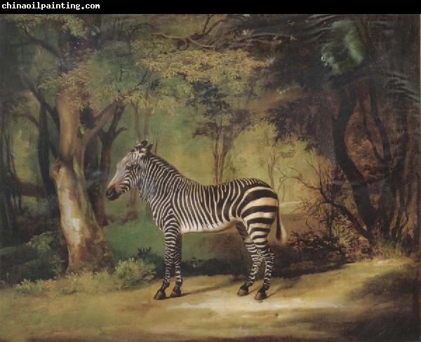 George Stubbs Horse