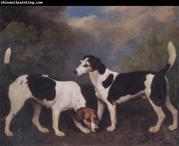 George Stubbs A Couple of Foxhounds