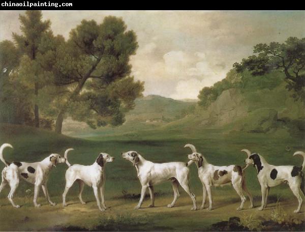 George Stubbs Some Dogs