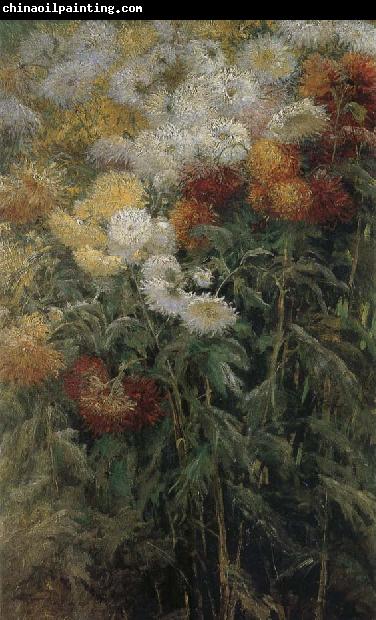 Gustave Caillebotte The chrysanthemum in the garden