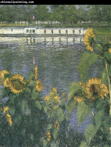 Gustave Caillebotte The sunflowers of waterside