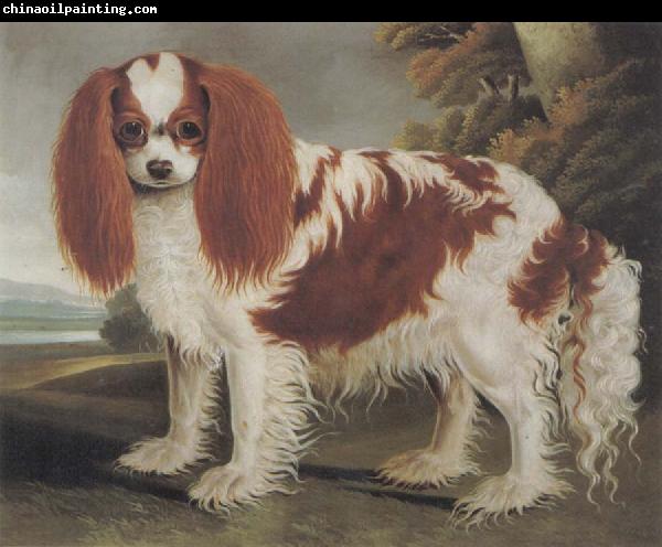 J.L.Clark King Charles Spaniel II