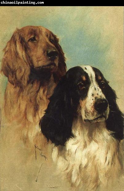 John emms English Springer Spaniels at Rest