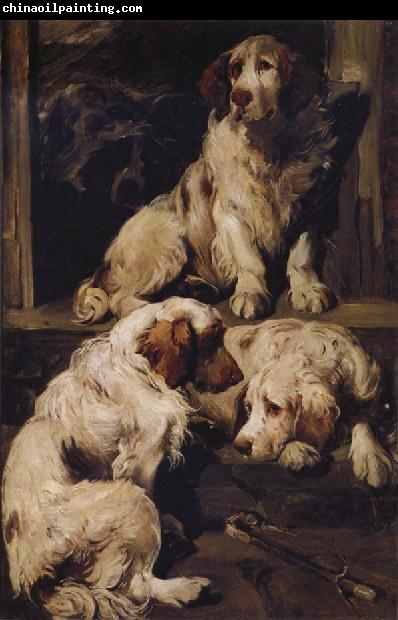 John emms Chumber Spaniels