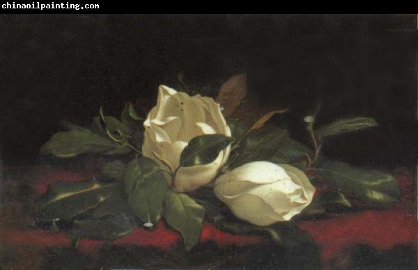 Martin Johnson Heade Magnolia Buds