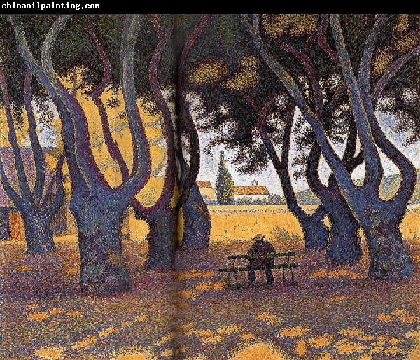 Paul Signac Chinar