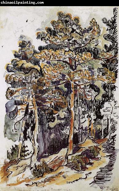 Paul Signac Pine