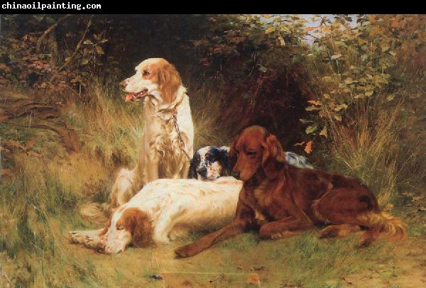 unknow artist Some Dogs