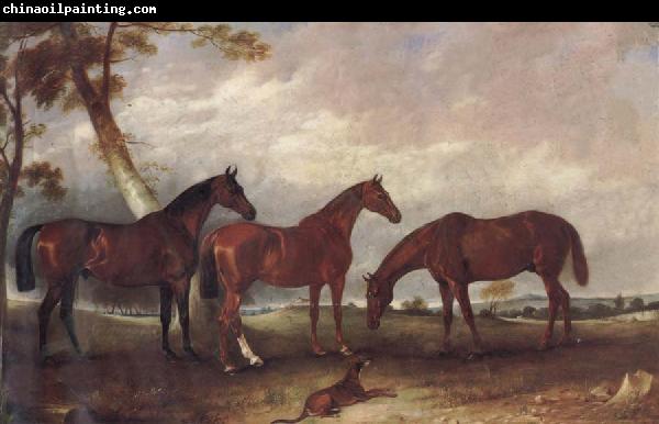 unknow artist Some Horses