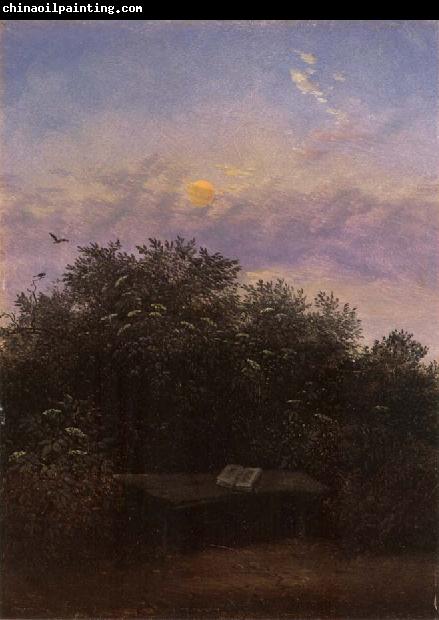 Carl Gustav Carus Blooming Elderberry Hedge in the Moonlight