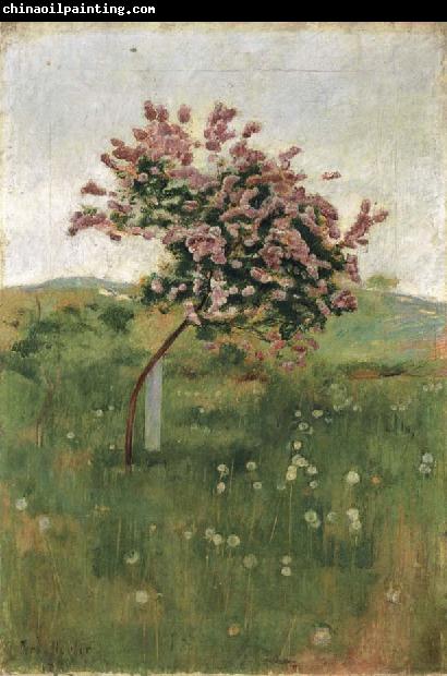 Ferdinand Hodler THe Lilac