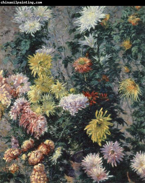 Gustave Caillebotte Chrysanthemums,Garden at Petit Gennevilliers