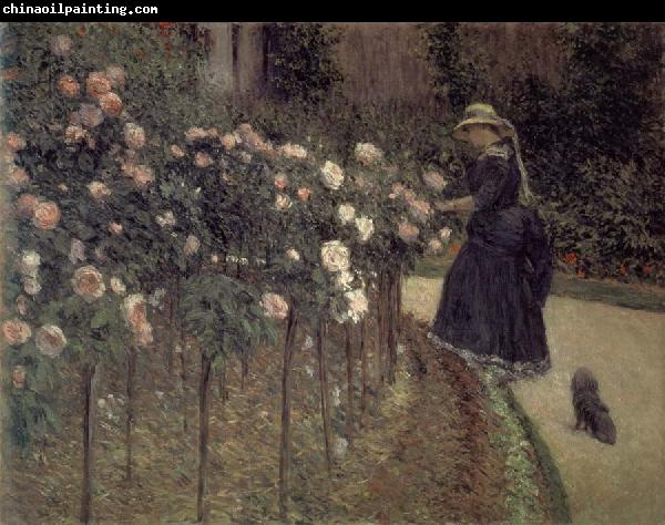 Gustave Caillebotte Roses-The Garden in Petit-Gennevilliers