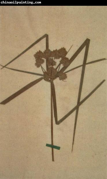 Johann Wolfgang von Goethe Herbarium sheet