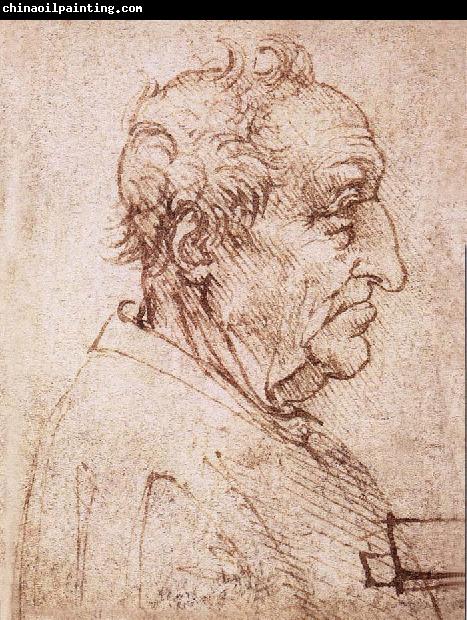 LEONARDO da Vinci Profile of an old man