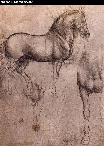 LEONARDO da Vinci Studies of horses