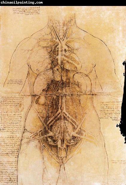 LEONARDO da Vinci The organs of the woman