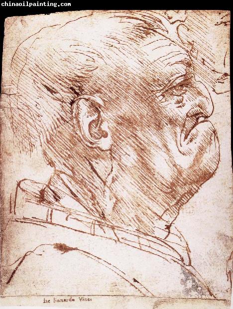 LEONARDO da Vinci Grotesque profile of a man