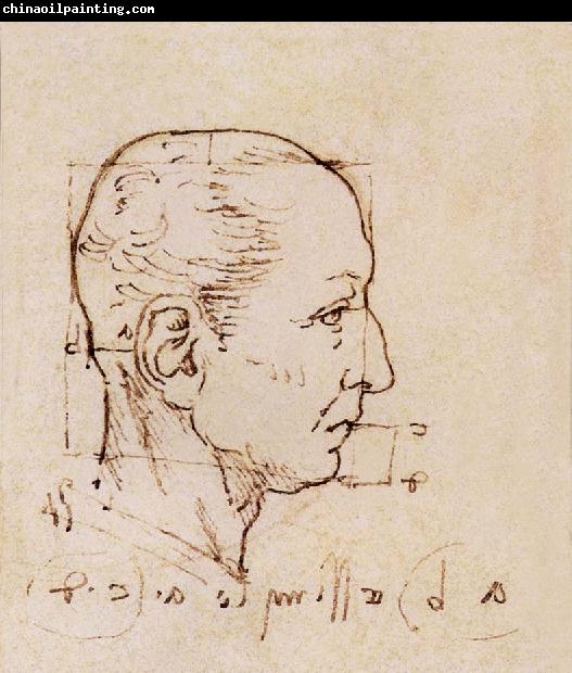 LEONARDO da Vinci Study of the proportion of the head