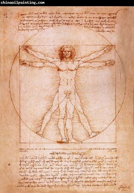 LEONARDO da Vinci Rule fur the proportion of the human figure