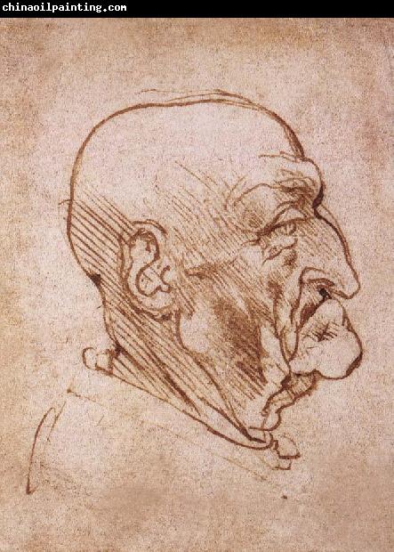 LEONARDO da Vinci Profile of an old man