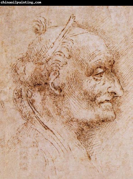 LEONARDO da Vinci Aurelio Luini attributed, profile of an old man