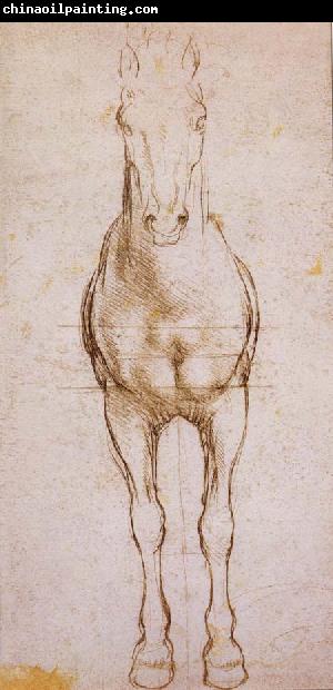 LEONARDO da Vinci Study of the proportion of horses