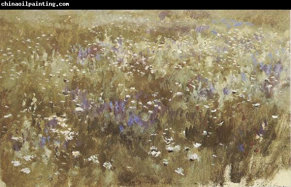 Levitan, Isaak Bluhende meadow