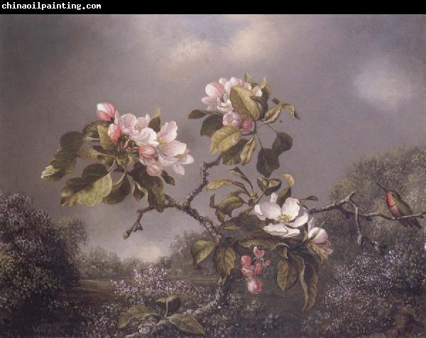 Martin Johnson Heade Apple Blosoms and Hummingbird