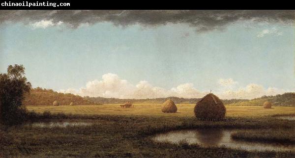 Martin Johnson Heade Summer Showers