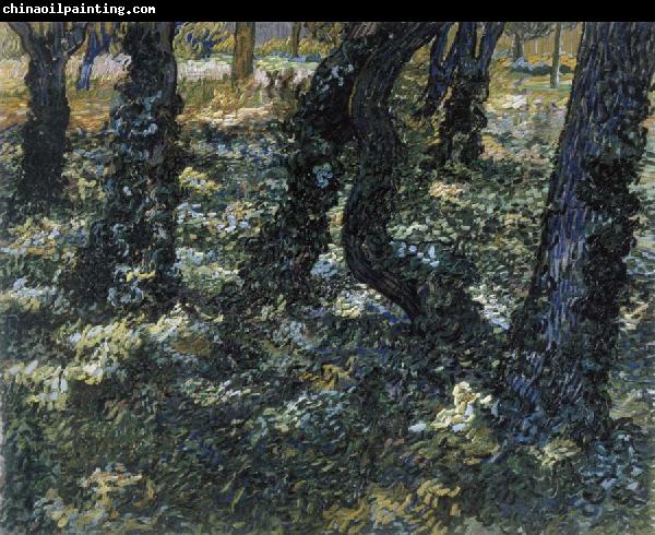 Vincent Van Gogh Undergrowth